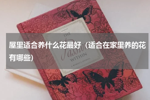 屋里适合养什么花最好（适合在家里养的花有哪些）