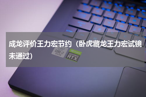 成龙评价王力宏节约（卧虎藏龙王力宏试镜未通过）