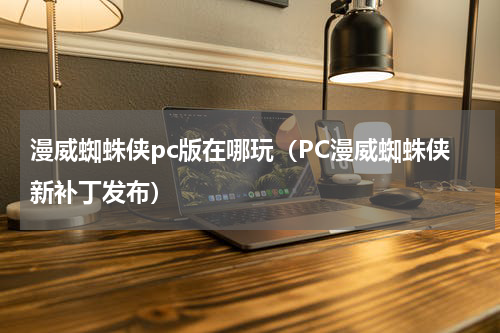 漫威蜘蛛侠pc版在哪玩（PC漫威蜘蛛侠新补丁发布）