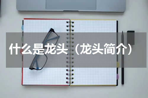 什么是龙头（龙头简介）