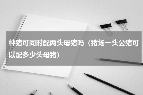 种猪可同时配两头母猪吗（猪场一头公猪可以配多少头母猪）