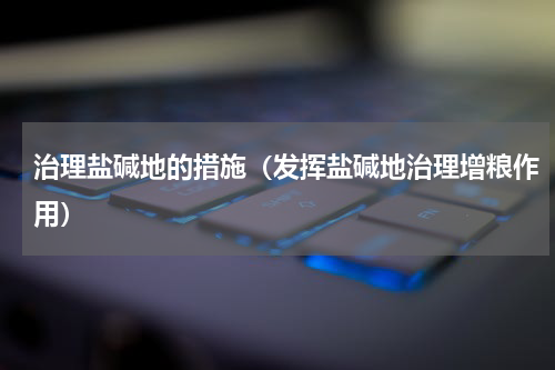 治理盐碱地的措施（发挥盐碱地治理增粮作用）