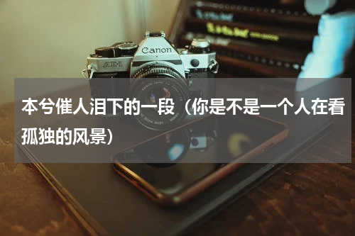 本兮催人泪下的一段（你是不是一个人在看孤独的风景）