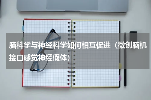 脑科学与神经科学如何相互促进（微创脑机接口感觉神经假体）