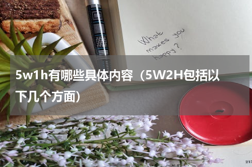 5w1h有哪些具体内容（5W2H包括以下几个方面）