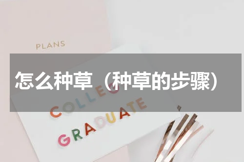 怎么种草（种草的步骤）