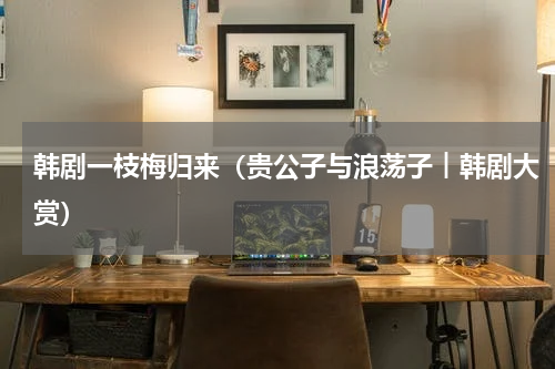 韩剧一枝梅归来（贵公子与浪荡子︱韩剧大赏）
