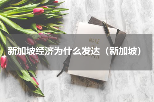 新加坡经济为什么发达（新加坡）