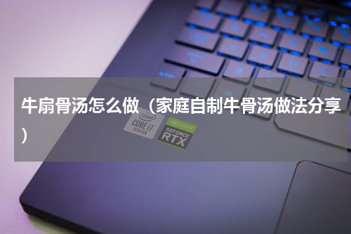 牛扇骨汤怎么做（家庭自制牛骨汤做法分享）