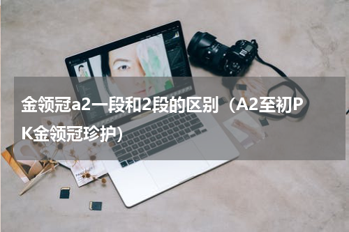 金领冠a2一段和2段的区别（A2至初PK金领冠珍护）