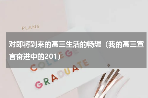 对即将到来的高三生活的畅想（我的高三宣言奋进中的201）