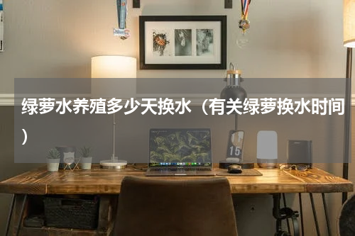 绿萝水养殖多少天换水（有关绿萝换水时间）