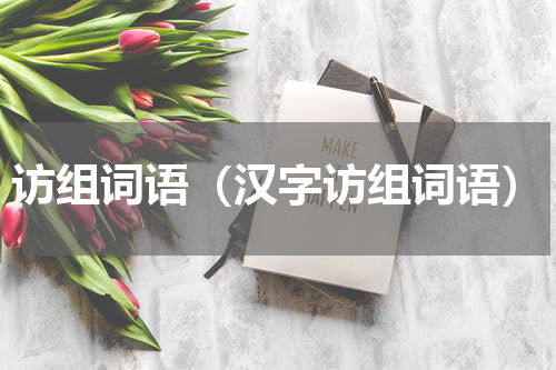访组词语（汉字访组词语）