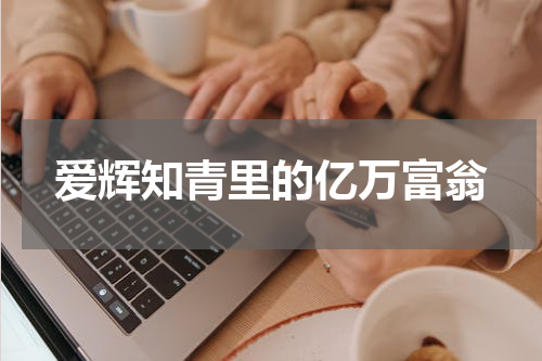 爱辉知青里的亿万富翁
