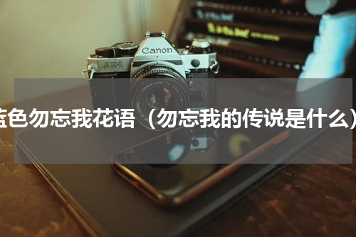 蓝色勿忘我花语（勿忘我的传说是什么）