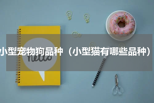 小型宠物狗品种（小型猫有哪些品种）