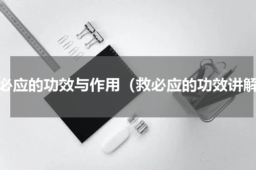 救必应的功效与作用（救必应的功效讲解）