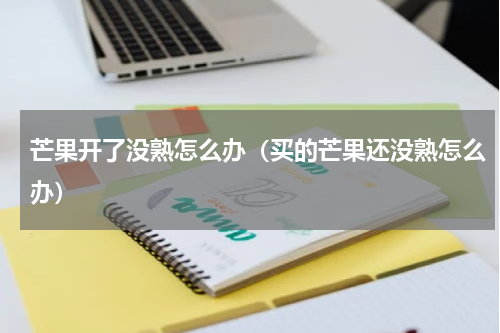 芒果开了没熟怎么办（买的芒果还没熟怎么办）
