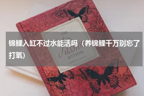 锦鲤入缸不过水能活吗（养锦鲤千万别忘了打氧）