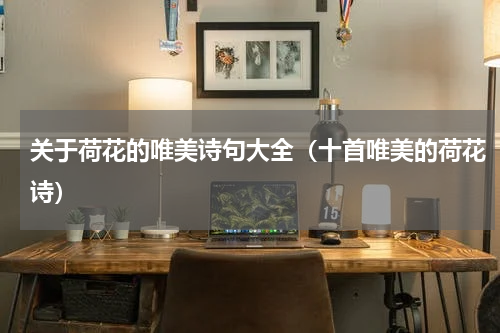 关于荷花的唯美诗句大全（十首唯美的荷花诗）