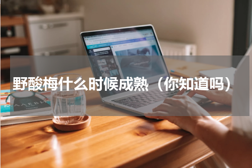 野酸梅什么时候成熟（你知道吗）