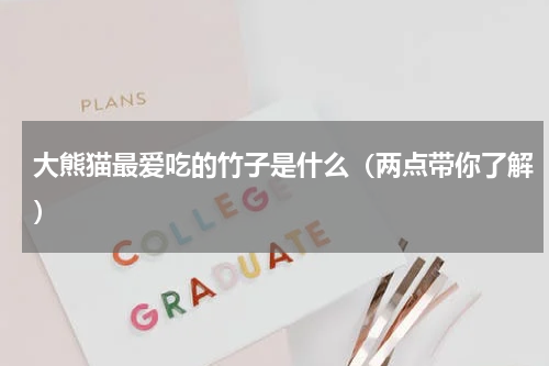 大熊猫最爱吃的竹子是什么（两点带你了解）