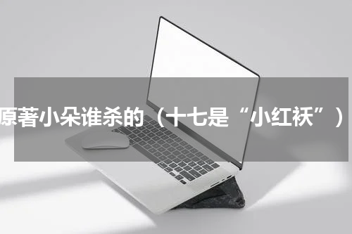 原著小朵谁杀的（十七是“小红袄”）