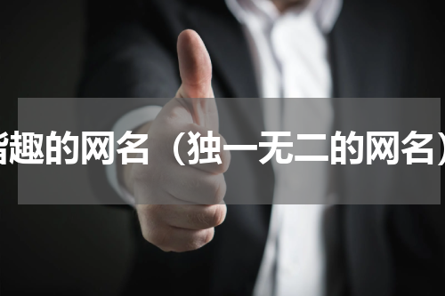 谐趣的网名（独一无二的网名）