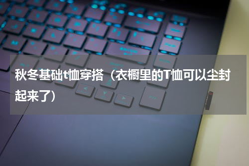 秋冬基础t恤穿搭（衣橱里的T恤可以尘封起来了）