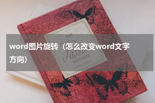 word图片旋转（怎么改变word文字方向）
