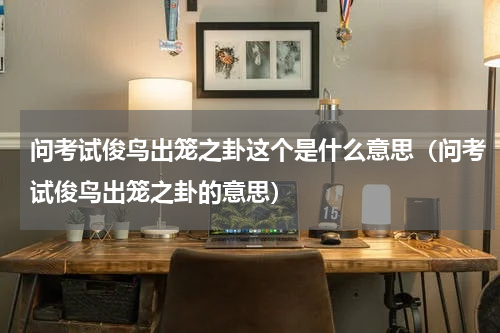 问考试俊鸟出笼之卦这个是什么意思（问考试俊鸟出笼之卦的意思）