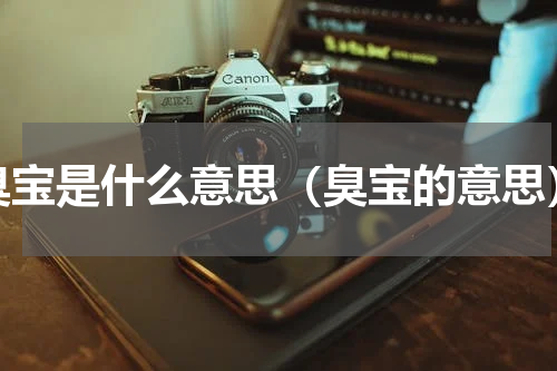臭宝是什么意思（臭宝的意思）