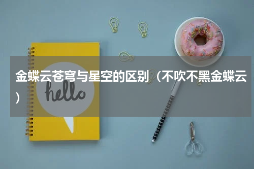 金蝶云苍穹与星空的区别（不吹不黑金蝶云）