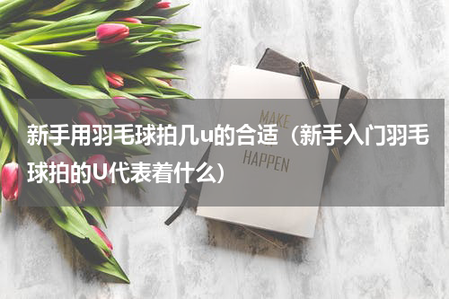 新手用羽毛球拍几u的合适（新手入门羽毛球拍的U代表着什么）