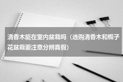 清香木能在室内盆栽吗（选购清香木和栀子花盆栽要注意分辨真假）