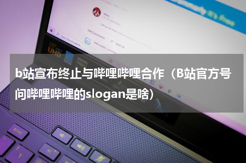 b站宣布终止与哔哩哔哩合作（B站官方号问哔哩哔哩的slogan是啥）