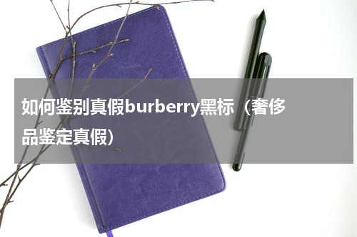 如何鉴别真假burberry黑标（奢侈品鉴定真假）