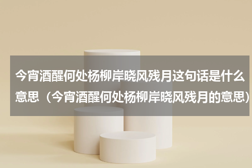 今宵酒醒何处杨柳岸晓风残月这句话是什么意思（今宵酒醒何处杨柳岸晓风残月的意思）