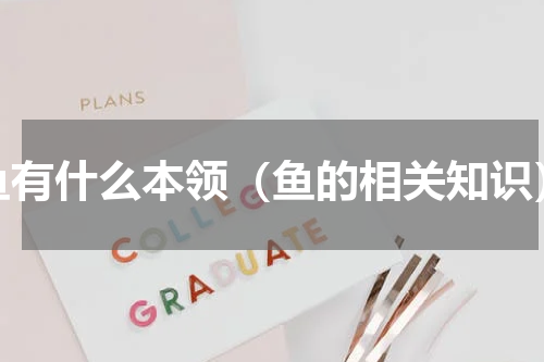 鱼有什么本领（鱼的相关知识）