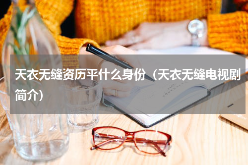 天衣无缝资历平什么身份（天衣无缝电视剧简介）