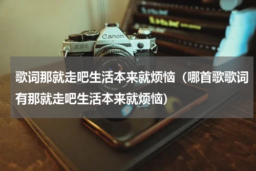 歌词那就走吧生活本来就烦恼（哪首歌歌词有那就走吧生活本来就烦恼）
