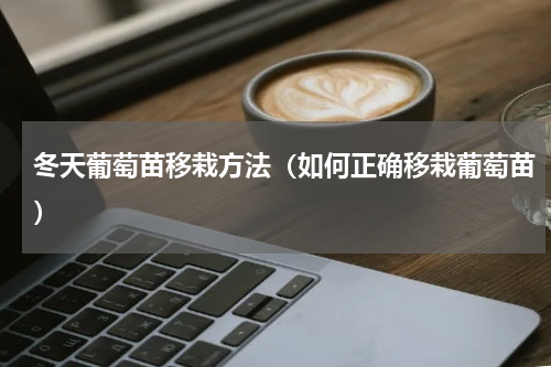 冬天葡萄苗移栽方法（如何正确移栽葡萄苗）
