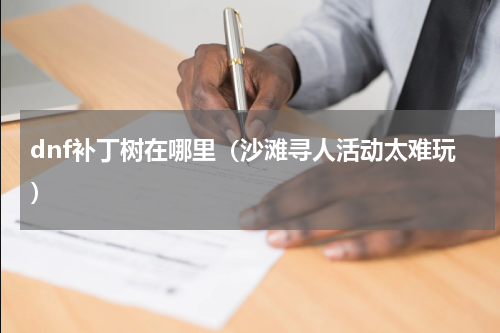 dnf补丁树在哪里（沙滩寻人活动太难玩）