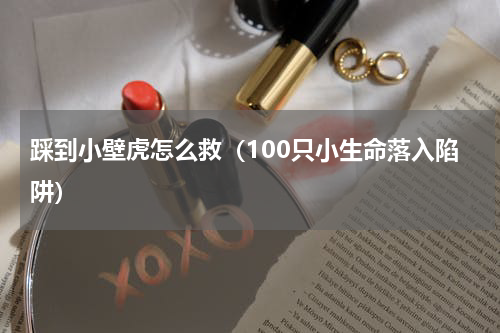 踩到小壁虎怎么救（100只小生命落入陷阱）