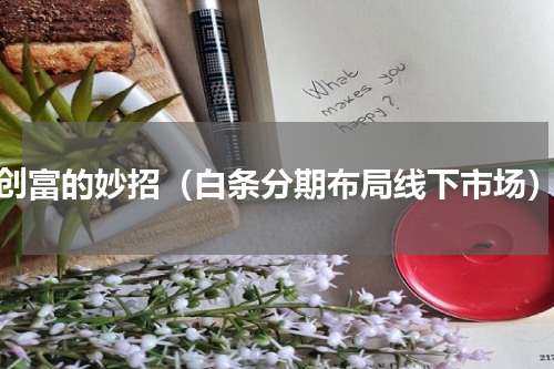 创富的妙招（白条分期布局线下市场）