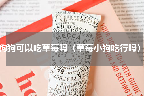 狗狗可以吃草莓吗（草莓小狗吃行吗）