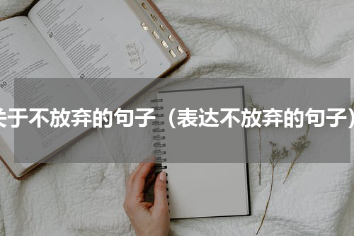 关于不放弃的句子（表达不放弃的句子）