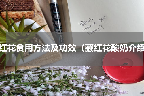藏红花食用方法及功效（藏红花酸奶介绍）