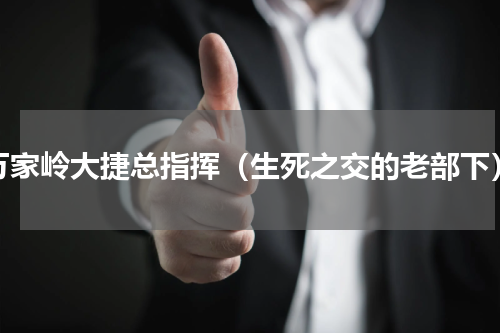 万家岭大捷总指挥（生死之交的老部下）