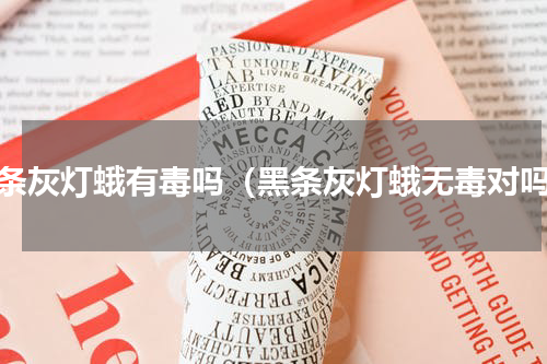 黑条灰灯蛾有毒吗（黑条灰灯蛾无毒对吗）
